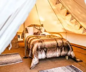glamping tents2